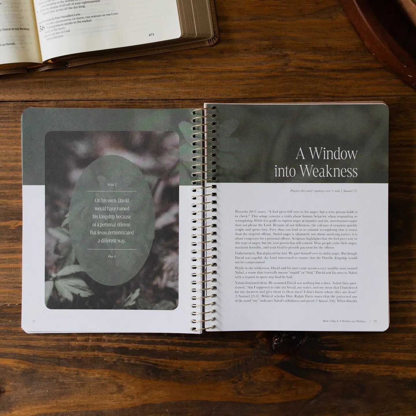 Peaks and Valleys: Learning To Look To Christ in Life's Highs and Lows