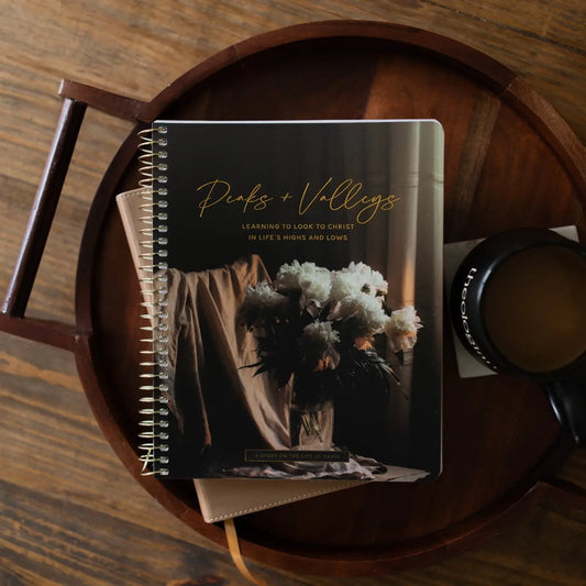 Peaks and Valleys: Learning To Look To Christ in Life's Highs and Lows